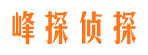 峄城侦探公司